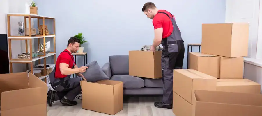 professional packers