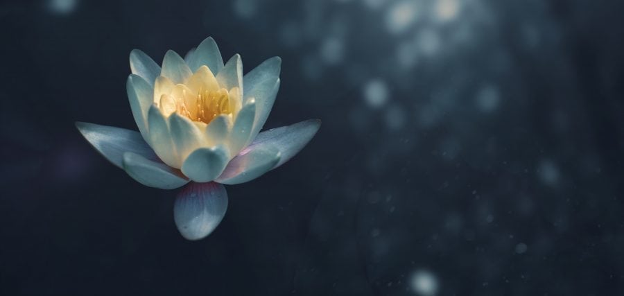 7 Visualization Techniques to Calm Your Anxious Mind