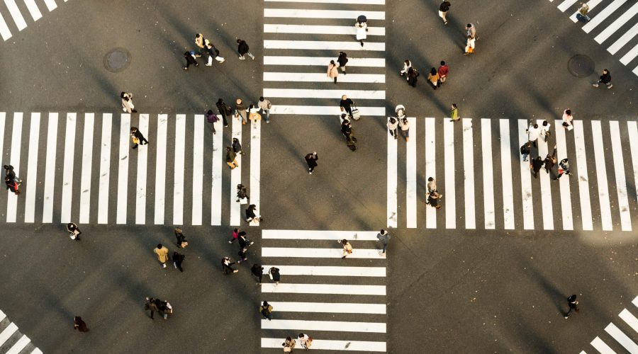 ryoji-iwata-wuCNi2XfBeE-unsplash