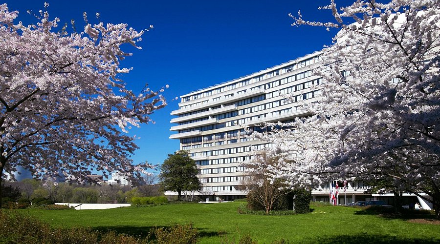 the-watergate-hotel the-watergate-hotel Washington DC hotels washington dc hotels Washington DC Hotels: Top 10 Refined Luxury Escape the watergate hotel