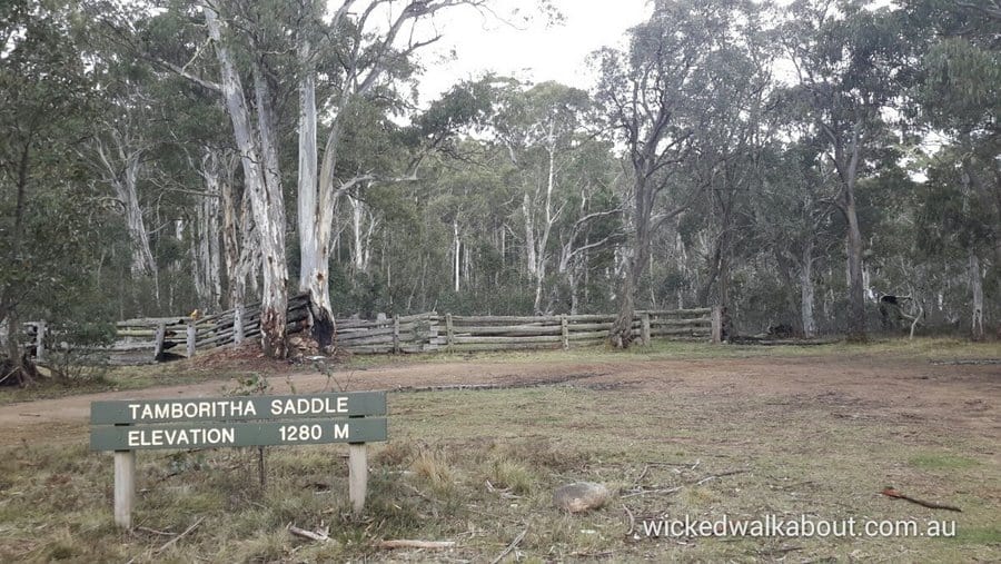 10 Tamboritha Saddle Camp