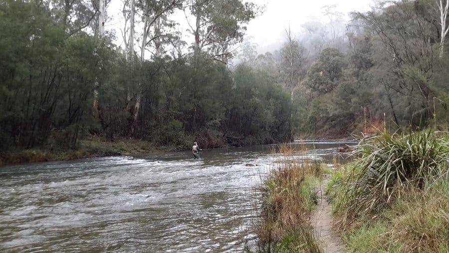 Fly Fishing in the Goulburn River near Skipton Reserve, Jamieson.