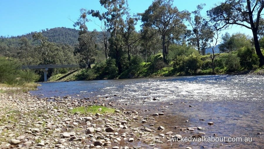 Cheneys Bridge-Macalister River Campsite