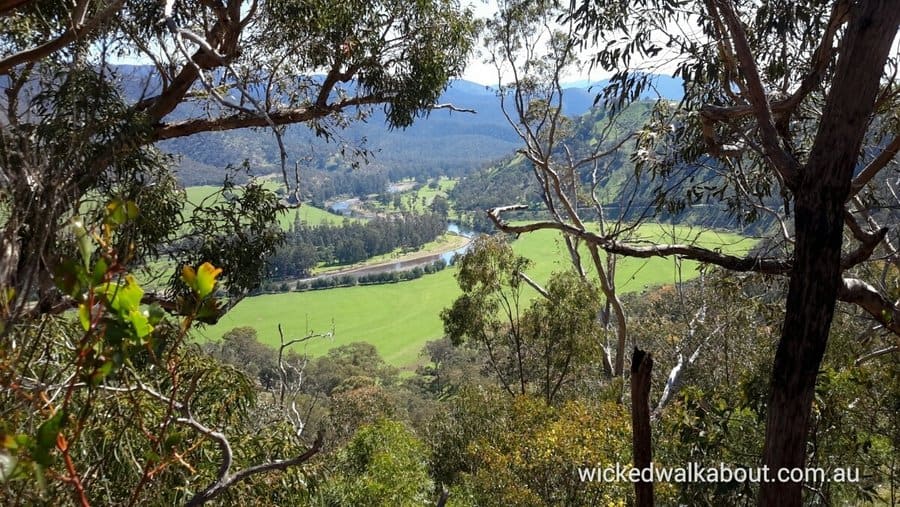 Bryce Gorge Alpine Wilderness