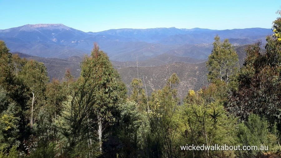 Bennison Lookout View