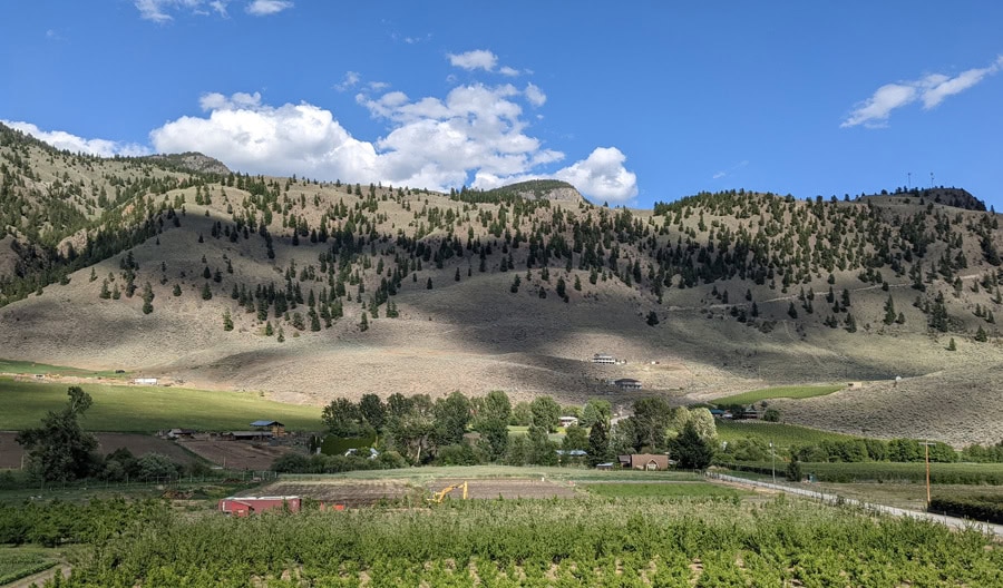 Tree to Me Organics in Keremeos