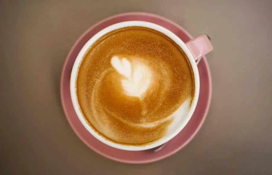 Guia-inicio-cafe