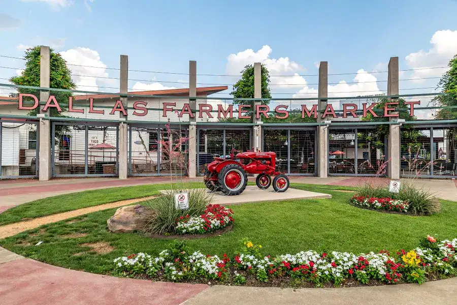 Dallas Farmers Market photoshoot