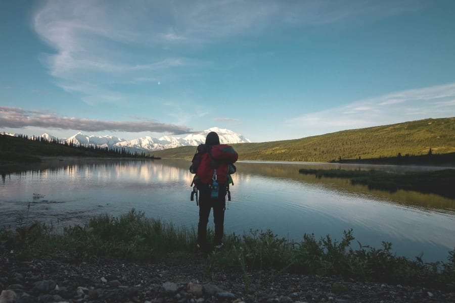 man looking at the Denali National Park