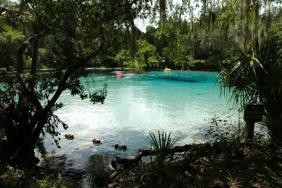 lake at Ocala National Forest