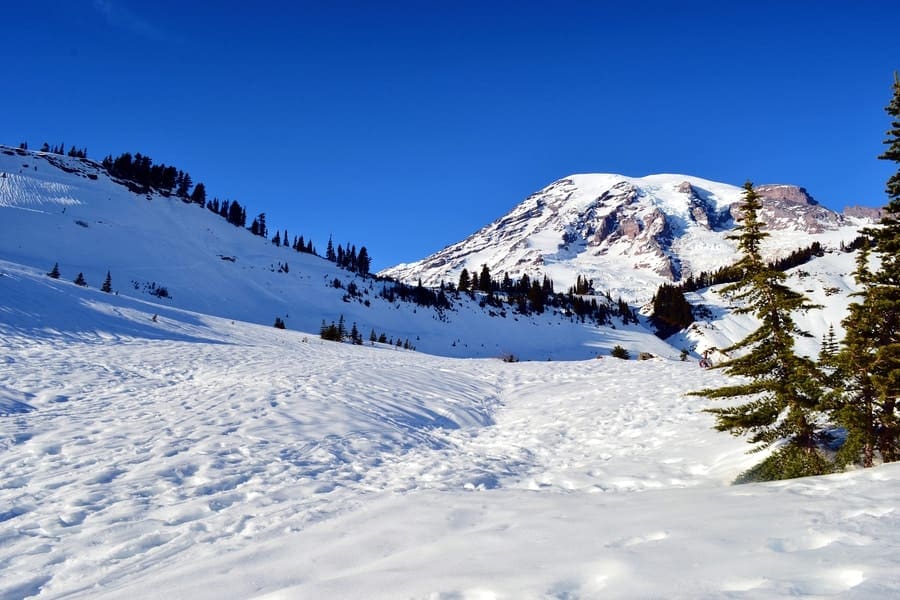 Mount Rainier National Park in the winter