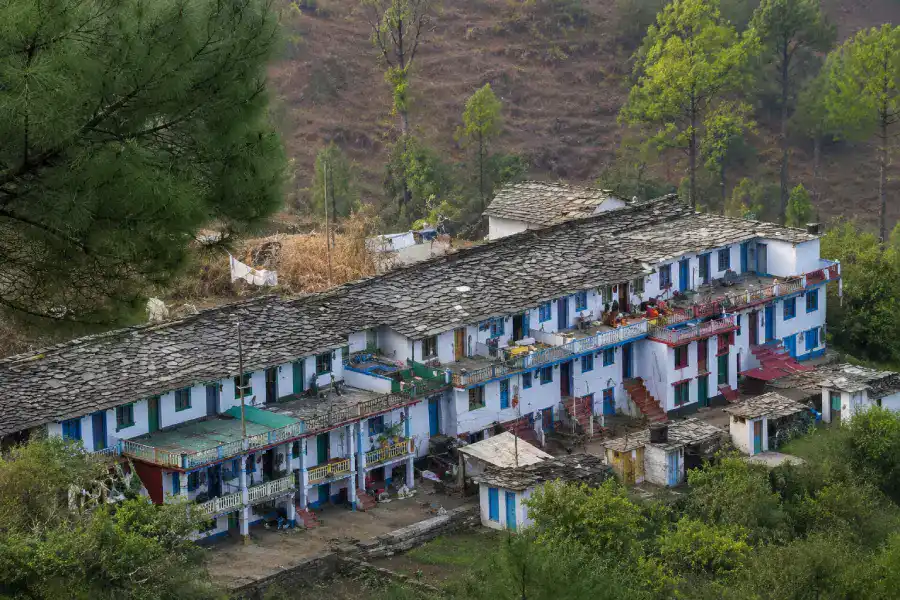 Bakhli