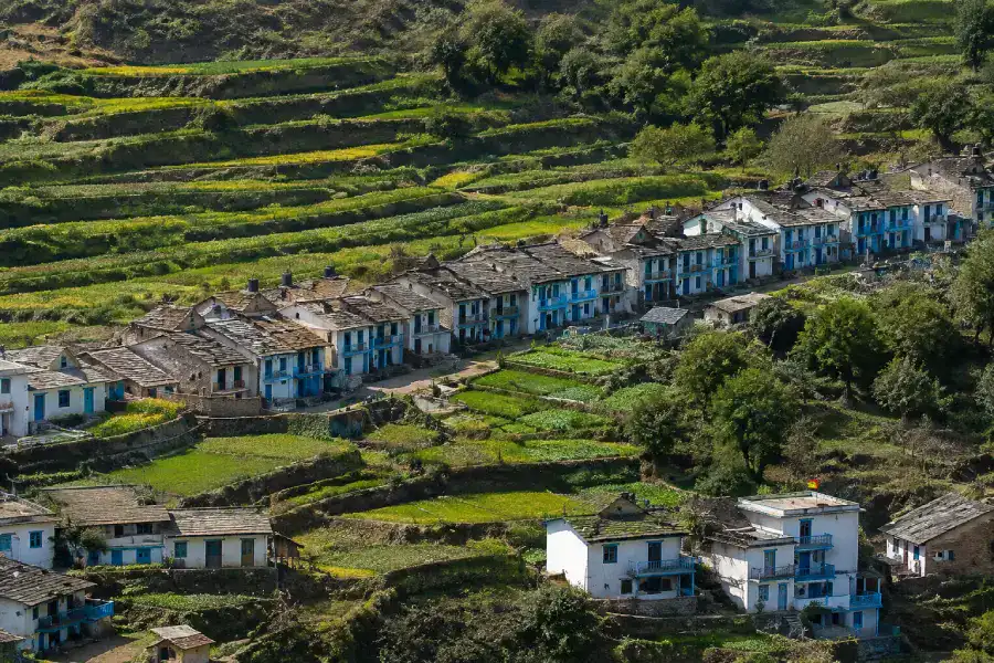 Bakhli
