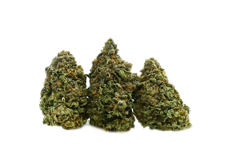 Cannabis Wedding Cake – Indica hybrid with rich flavours and relaxing effects. Enjoy a smooth, flavorful experience.