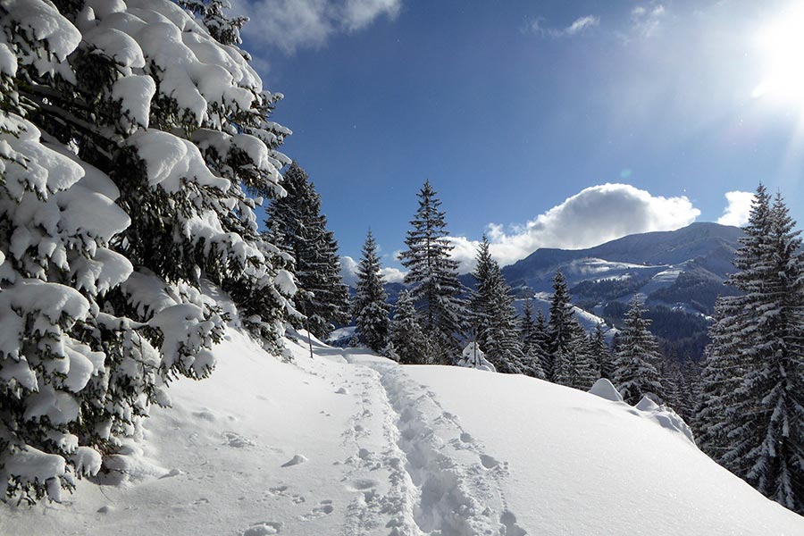 Hotel Keindl Niederaudorf