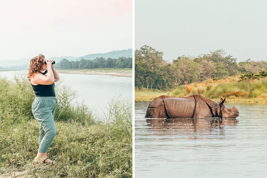 Girl sightseeing in Chitwan National Park and swimming Rhino.
