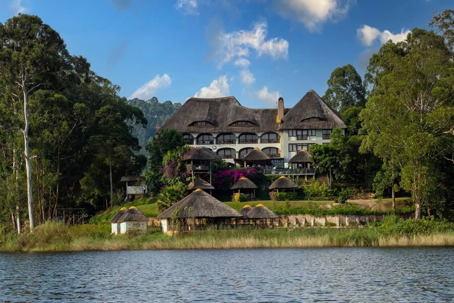 Birdnest @ Bunyonyi