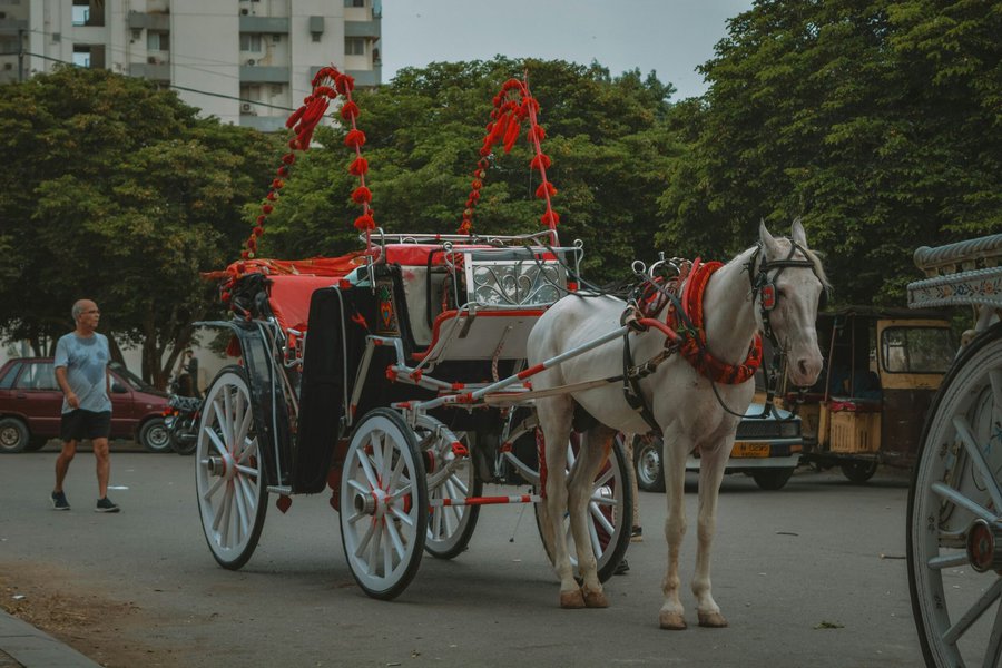 Home Page 18 a horse drawn carriage on a city street