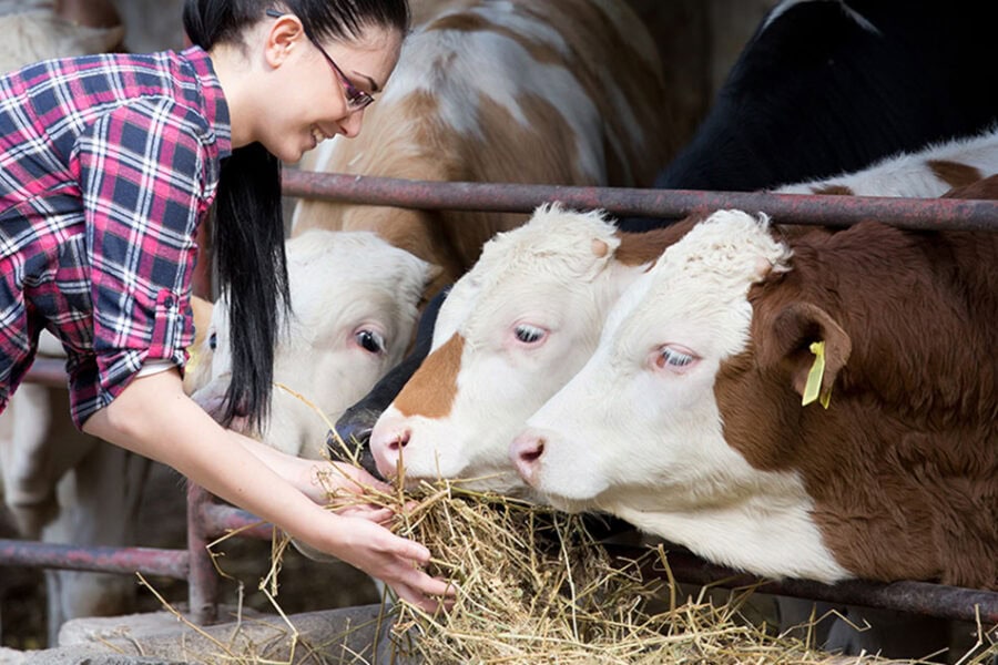 Ins and outs of farm management