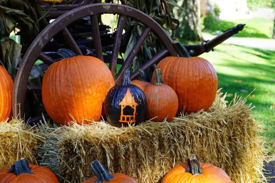 Pumpkins Set Up for the Halloween Celebration at Mohonk