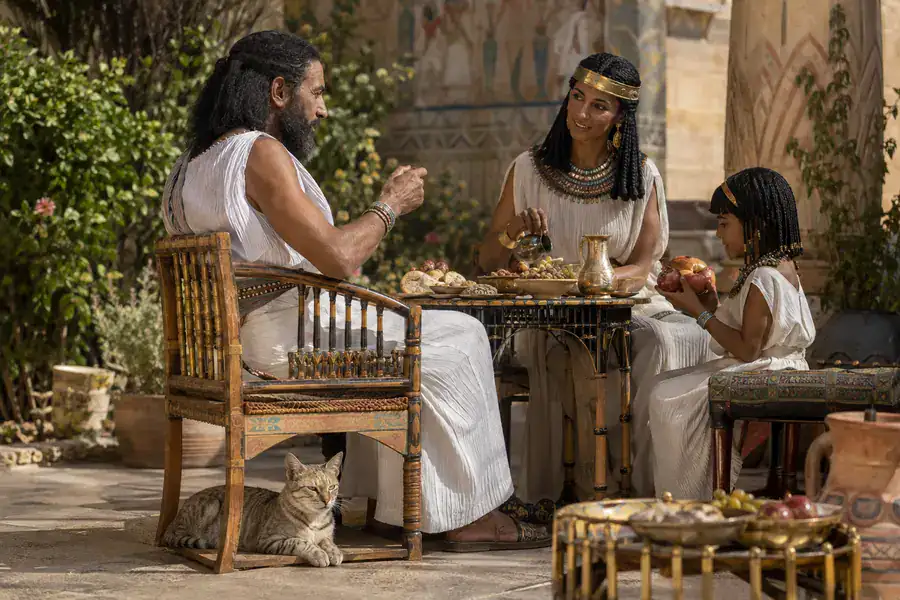 Ancient Egyptian Cats living with a family