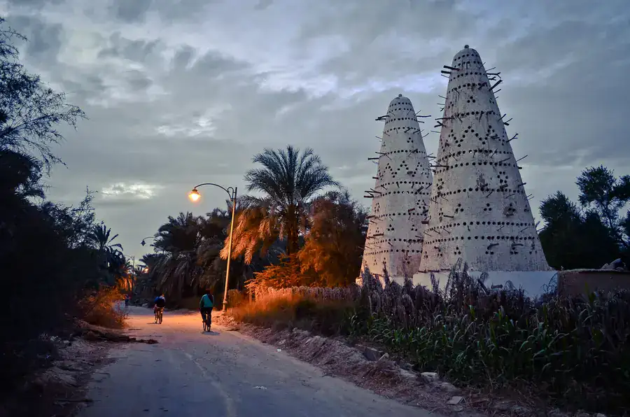 Siwa Oasis desert landscape and palm trees in western Egypt