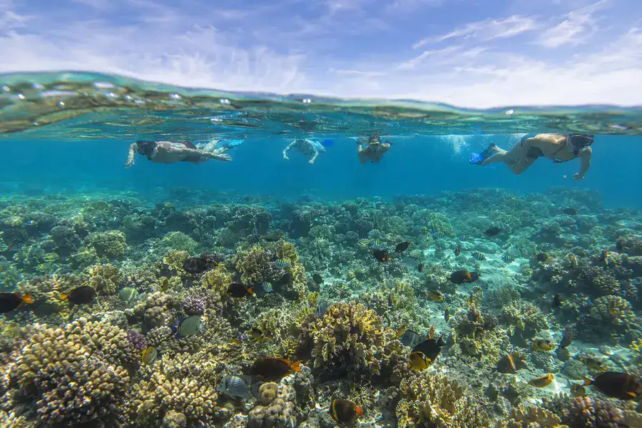 Red Sea activities and beach in Hurghada
