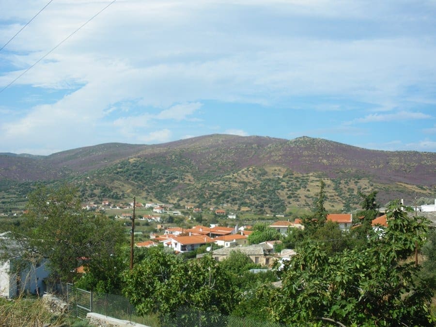 Evia Koskina land and derelict outbuildings