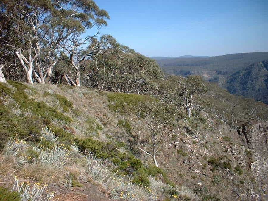 16b Bryce Gorge