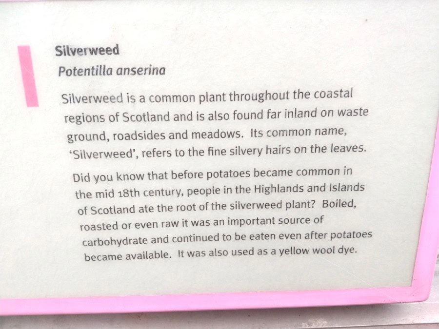 Silverweed uses Scotland sign