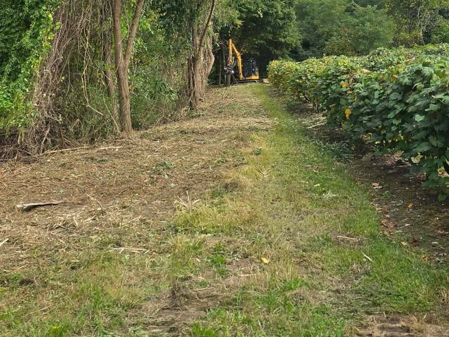Land Clearing in Jamestown, NY Newly cleared lane cut through heavy brush and vine covered trees, with a machine working at the far end