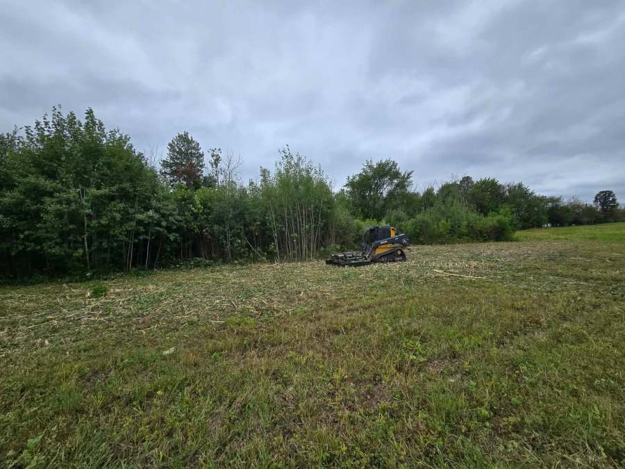 Compact track loader with a mulching head working the edge of a brushy field, cut stubble across the foreground and standing brush at the tree line