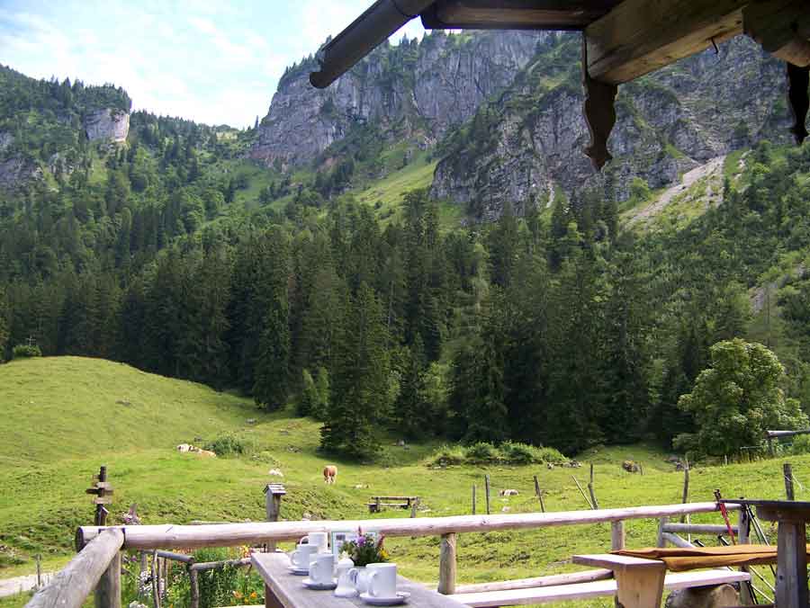 Ausblick von der Staudacher Alm auf die Berge und grasende Kühe. Einige Kaffeetassen zeugen von Besuchern und ein Wegweiser zeigt den Wanderweg an. Am Geländer lehnen Wanderstöcke von Rastmachenden. Hier führt der Salzalpensteig zur Brachtalm. 