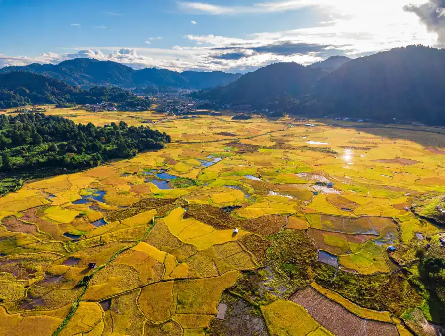 Ziro Valley