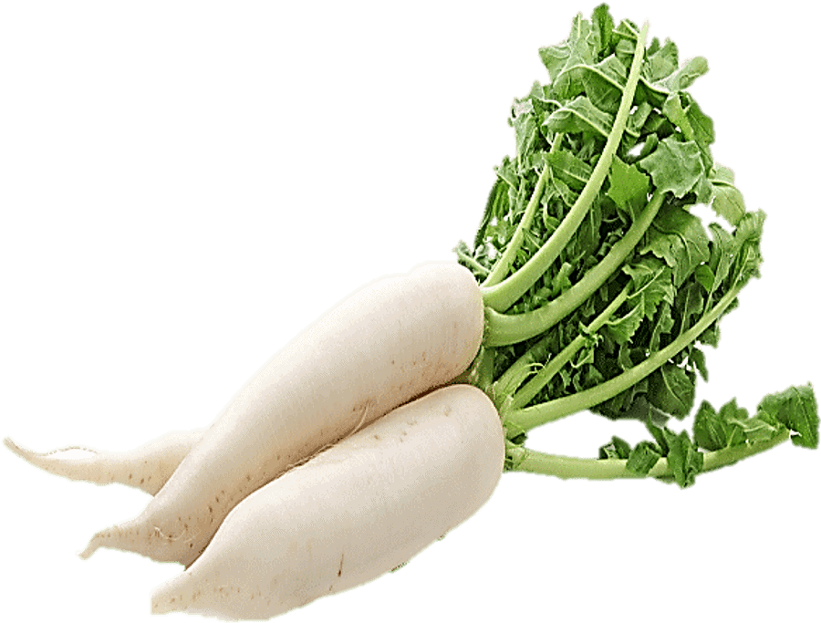 White radish
