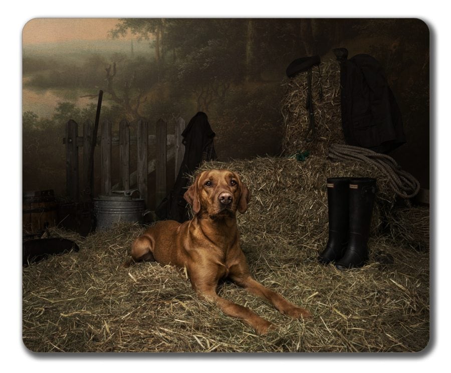 Gundog III placemat