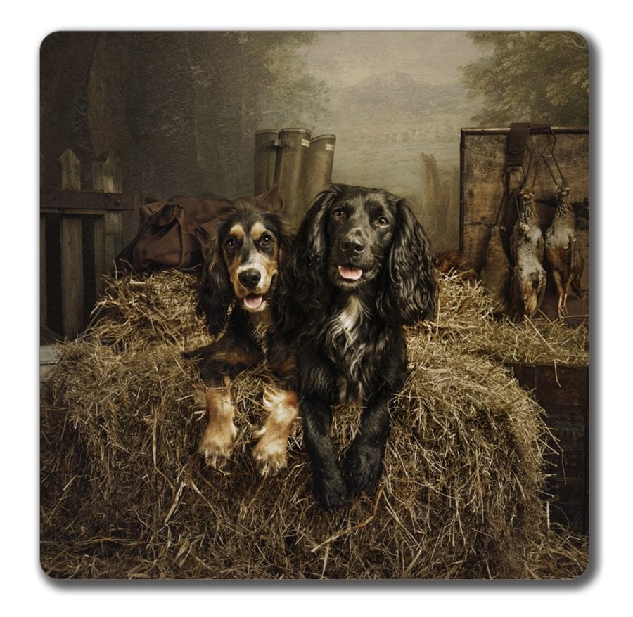 Gundogs after work, coaster