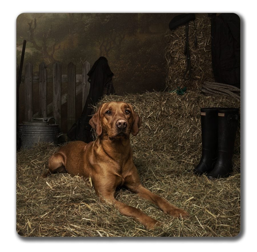 Gundog III coaster