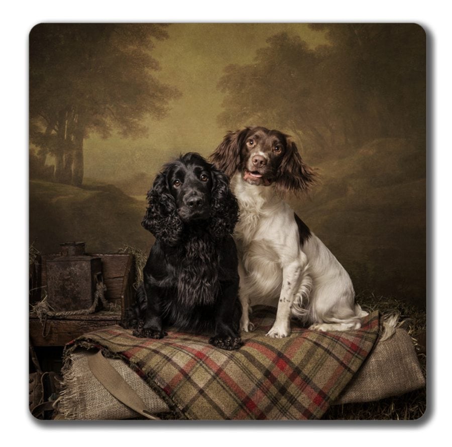 Gundogs ready for work, coaster