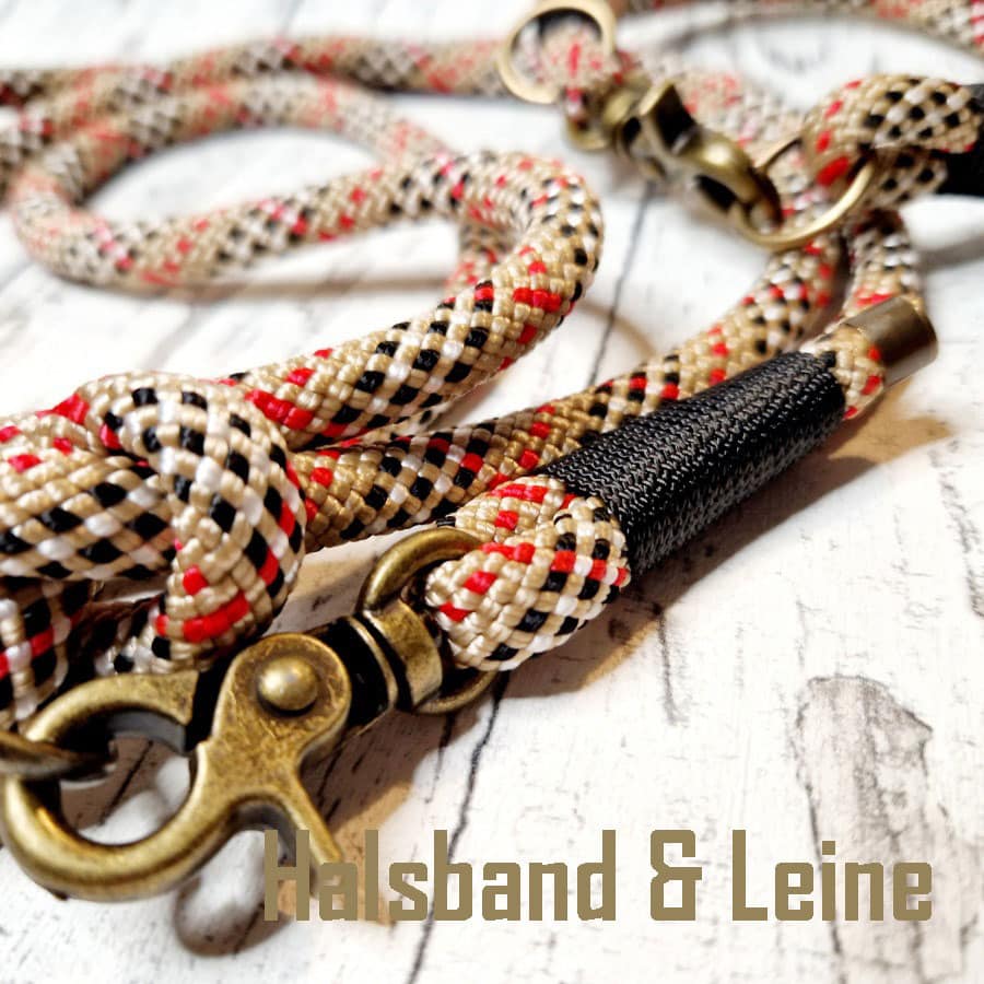 Halsband und Leine
