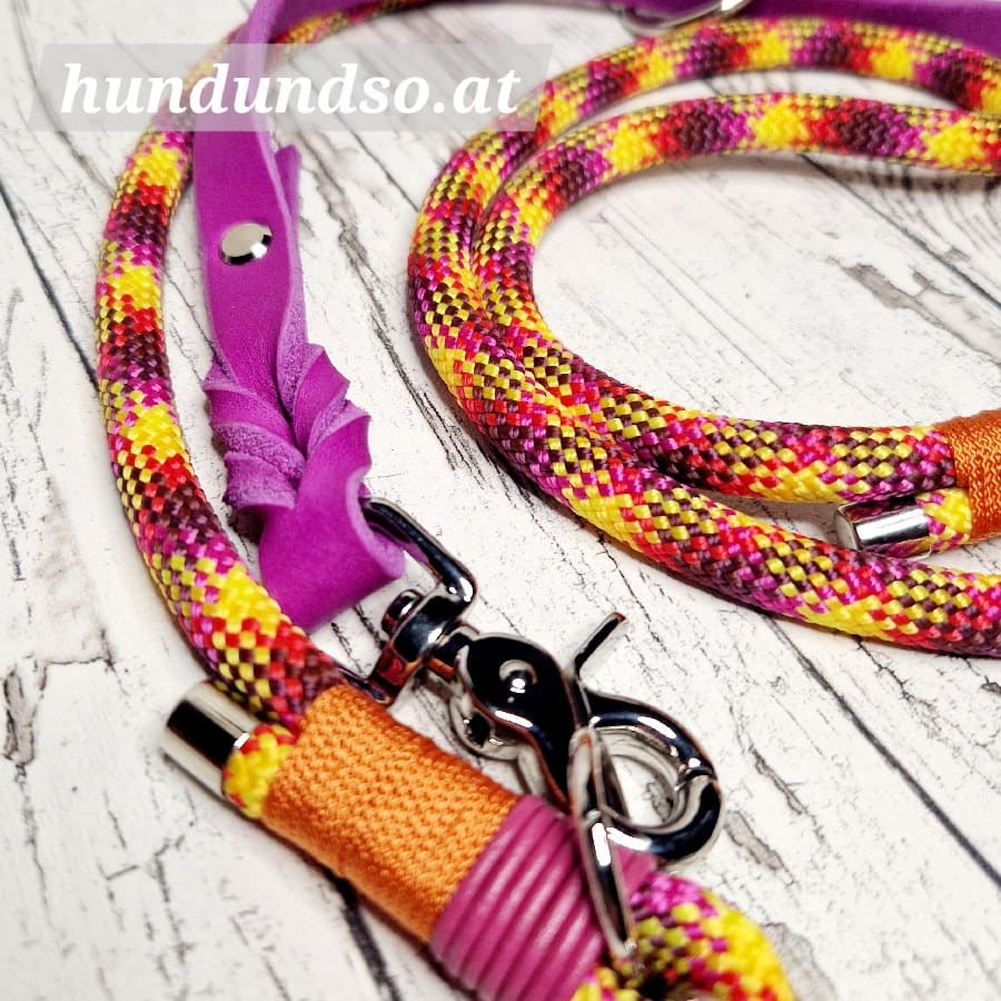 Hundeleine Halsband Set Seil Leder Fuego Purpur Orange