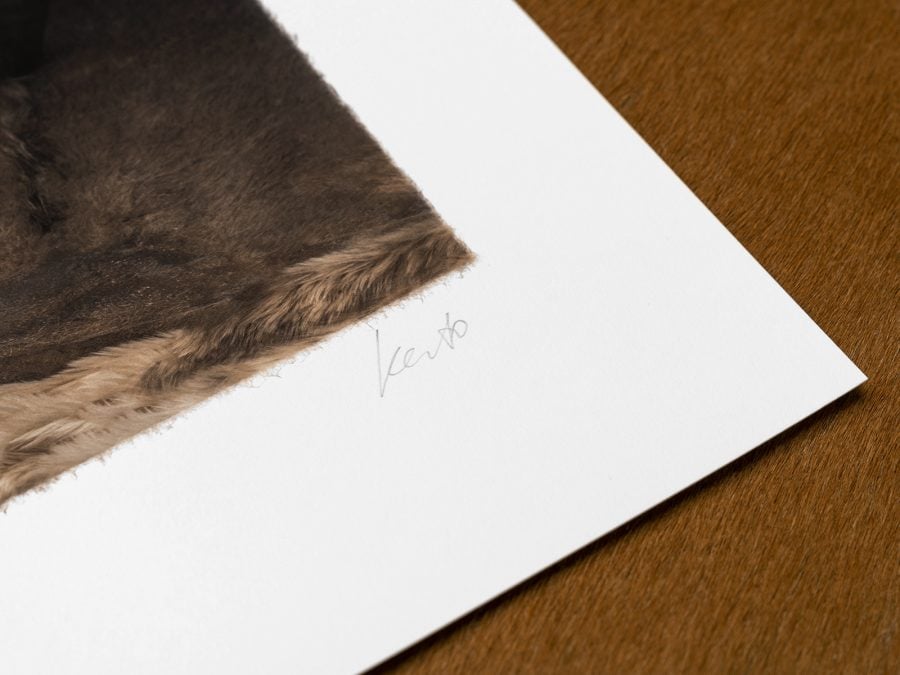 Gundogs I, Print - Image 6