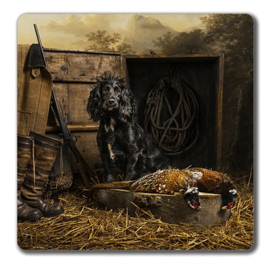 Today's bag, gundog coaster