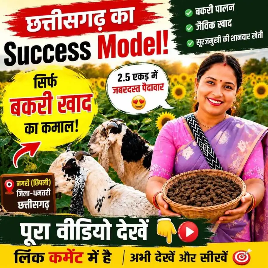 WhatsApp Image 2026-06-29 at 5.28.17 PM