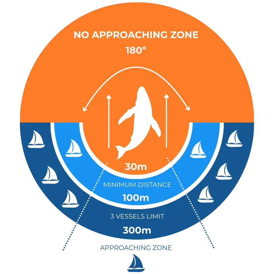 Whale Watching Code of Conduct Whale Watching Code of Conduct