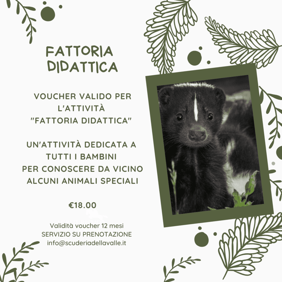 Fattoria Didattica