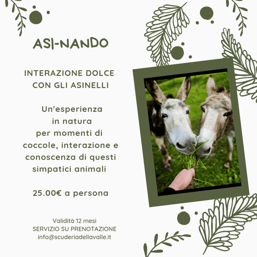 Asi-Nando Interazione dolce con gli asinelli