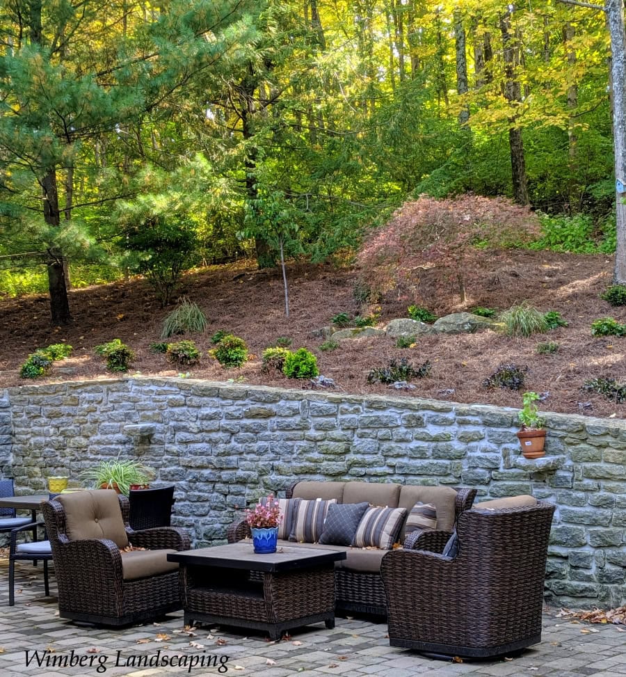 Read more about the article A Backyard Sanctuary