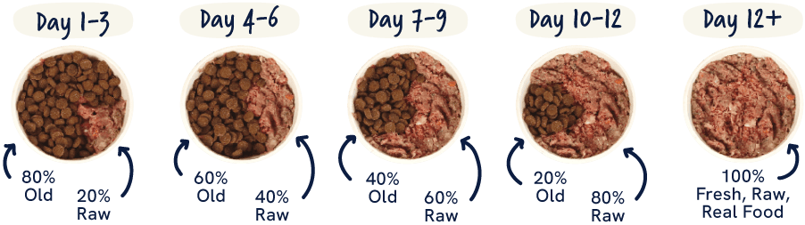Transition to Raw Dog Food Diagram