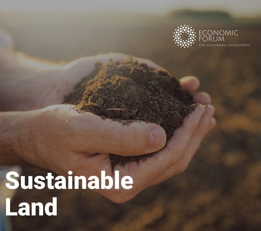 LogoAi-Simple Instagram Poster (1674667785)-4 "Sustainable land" caption banner with person holding soil in hand